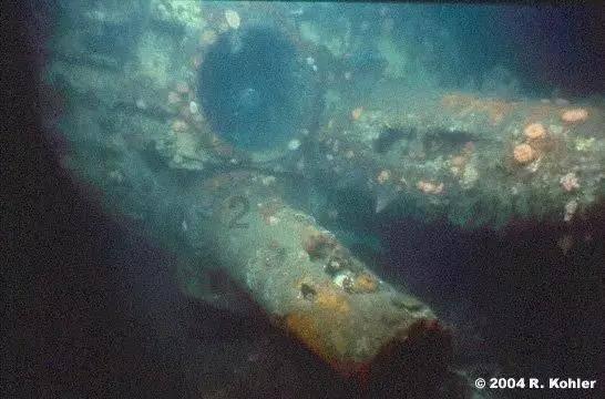 金铲铲空白符号代码游戏画面