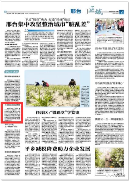 拥抱芯片设计“范式转换”,国产EDA软件正涌现“最佳实践”