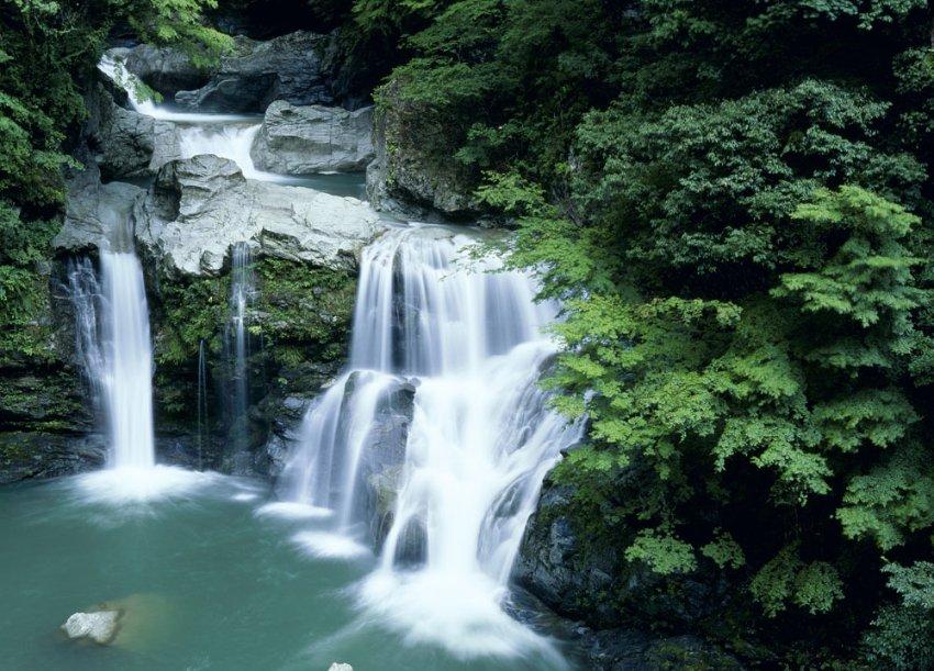 新春走基层｜杀年猪熏腊肉，“土家鲍鱼”飘香四方