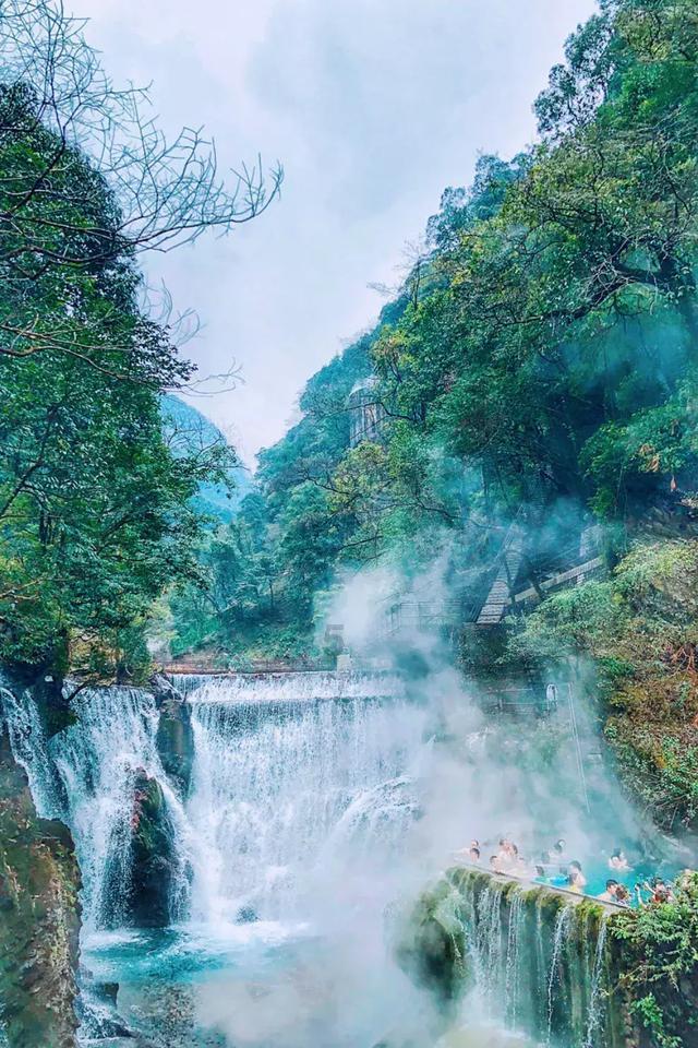 芍药和郁金香是在一个季节开花的吗？游戏画面
