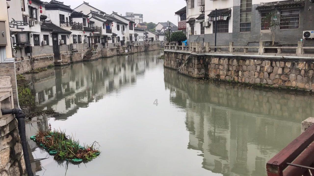 每一位龙的传人 都配得上这波“龙潮”盛世