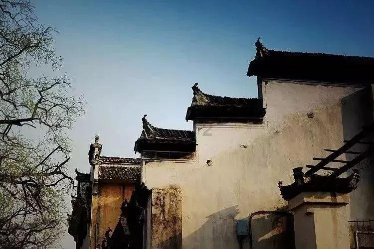 小猪佩奇玩躲避球2