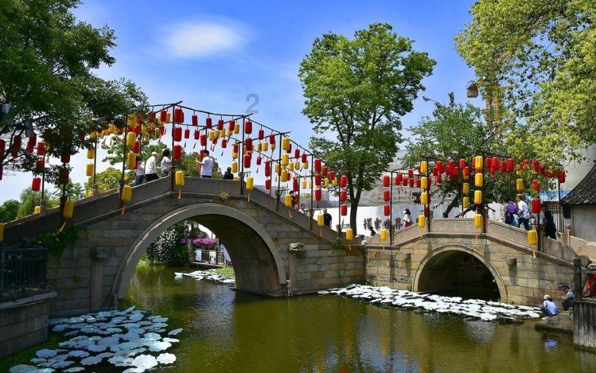 顶流来了！看白雪松如何把博物馆冷知识变城市热文化